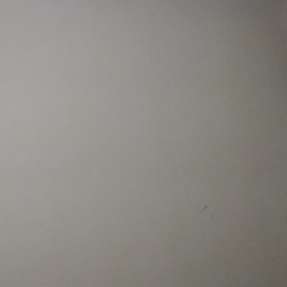 veronicabucio4